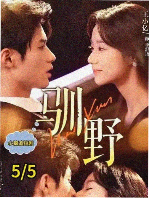 黑帮大佬的365 第二季筹备